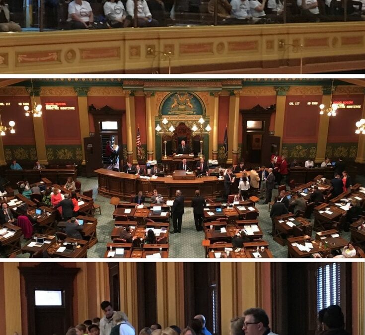 House Chamber and Gallery