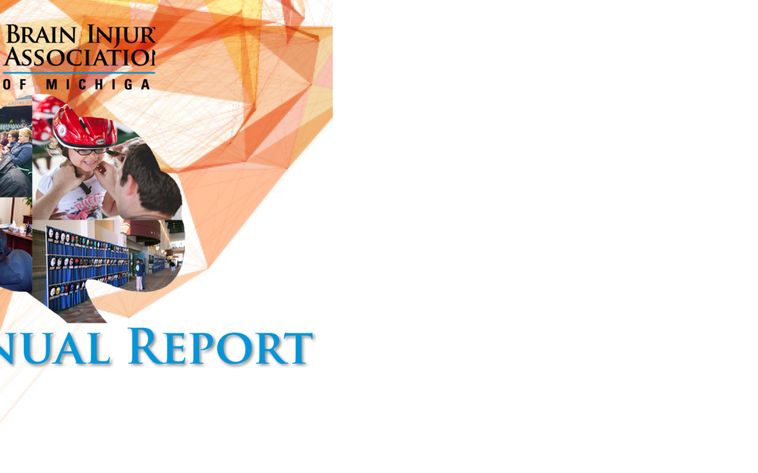 Annual Report Banner ALT2